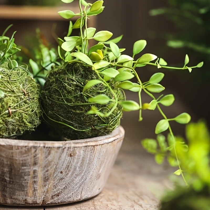Vaso de Musgo Artificial, Reci - Sphagnum Moss Dry avaliação e preço