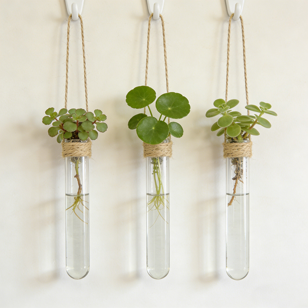 Vaso Hidropônico de Parede com - Propagation Station Vase avaliação e preço