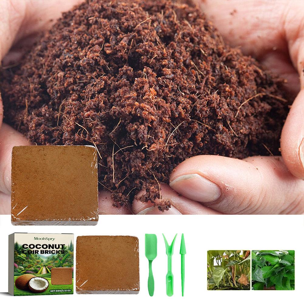 Tijolo de Fibra de Coco - Subs - Sphagnum Moss Dry avaliação e preço