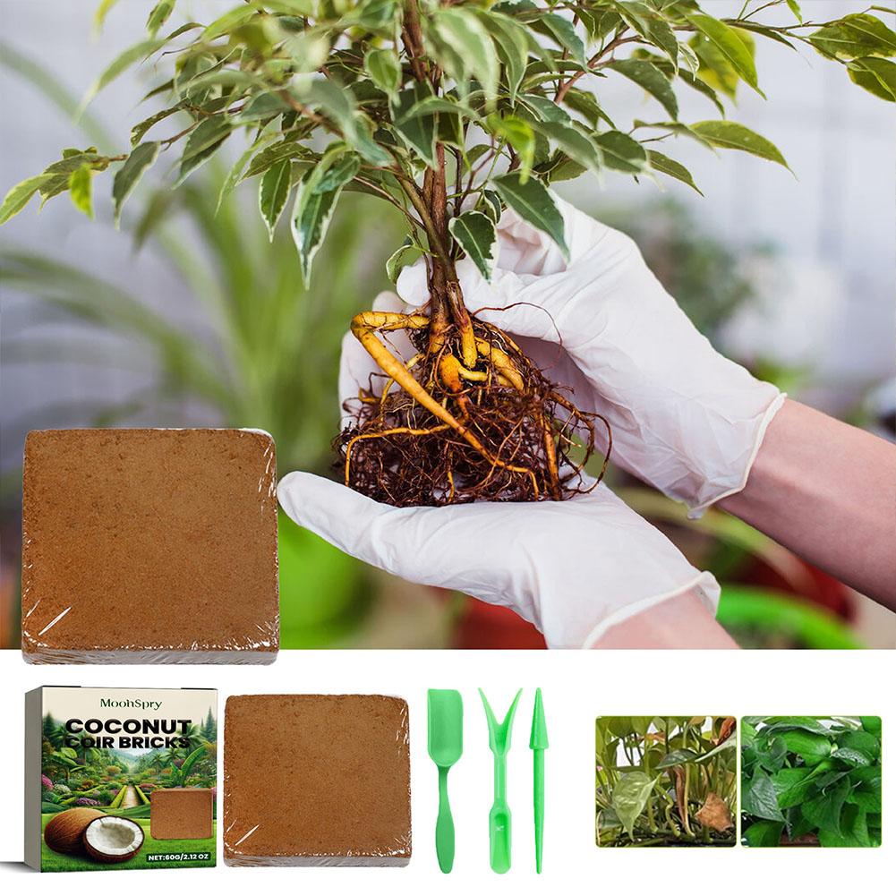 Tijolo de Fibra de Coco - Subs - Sphagnum Moss Dry avaliação e preço