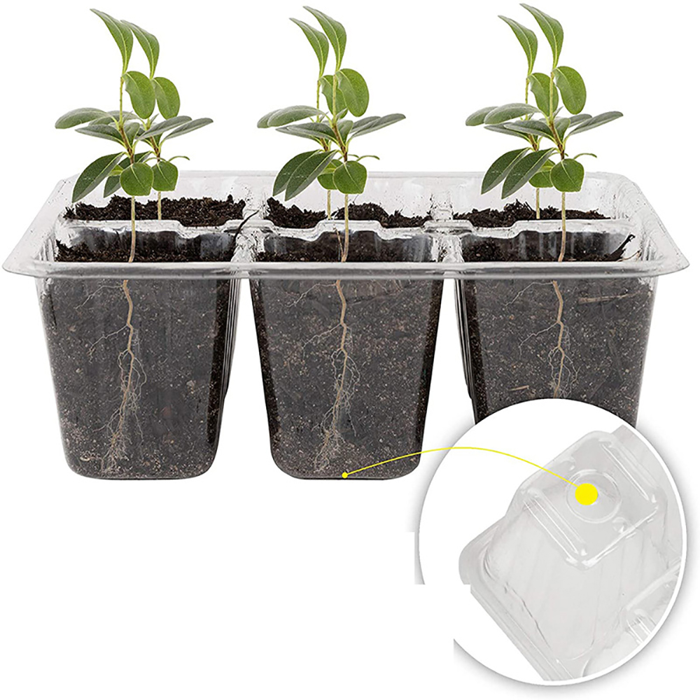 Seed Starter Bandejas Com Cres - Humidity Dome Kit avaliação e preço