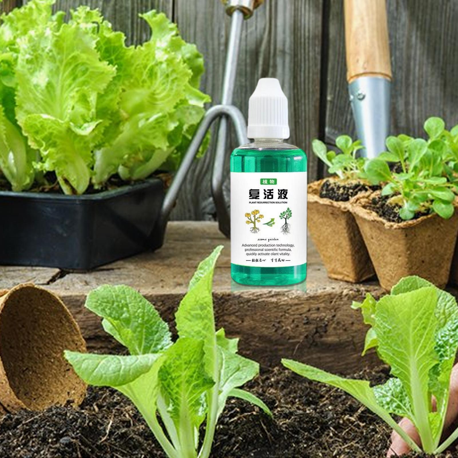 Estimulador de raízes para pla - Root Stimulator Liquid avaliação e preço