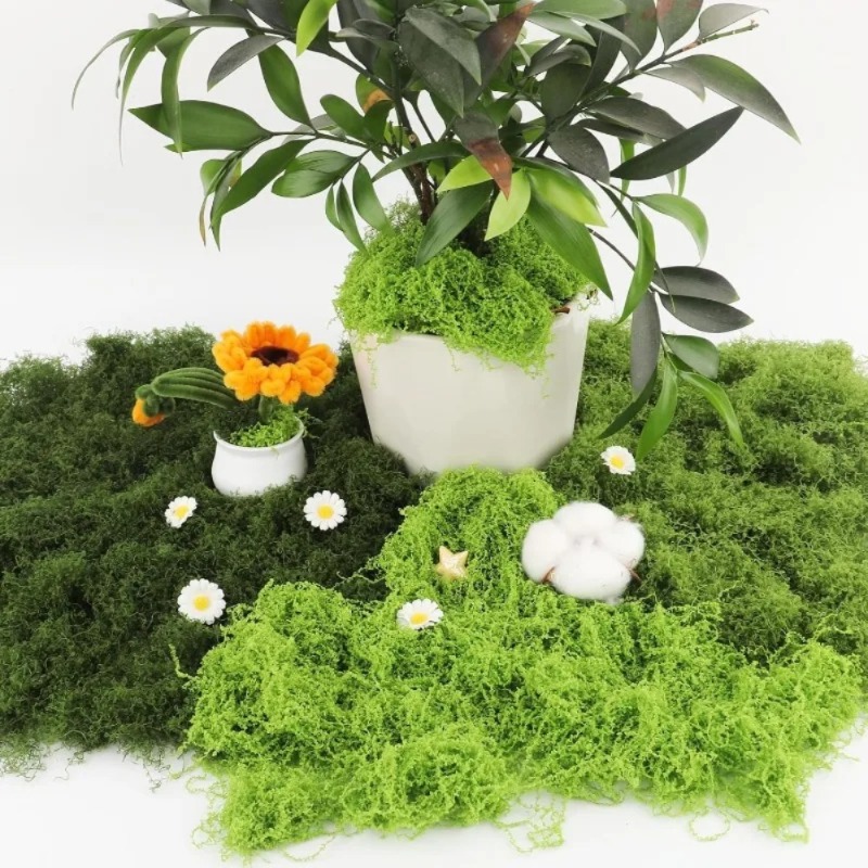 Musgo Verde Artificial, Musgo  - Sphagnum Moss Dry avaliação e preço