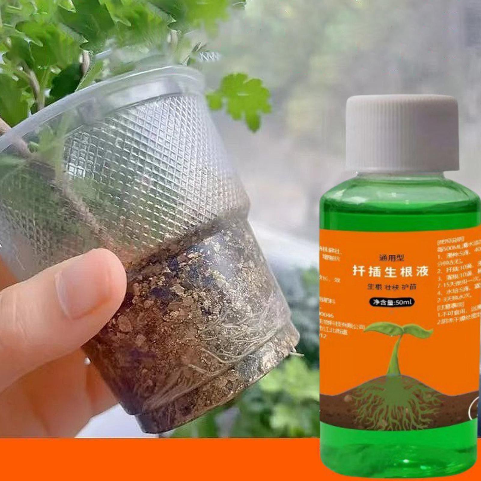 Solução nutritiva para transpl - Root Stimulator Liquid avaliação e preço