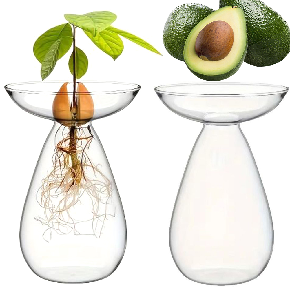 Vaso inicial de semente de aba - Propagation Station Vase avaliação e preço